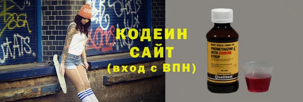 индика Бронницы