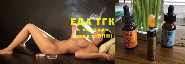 индика Бронницы