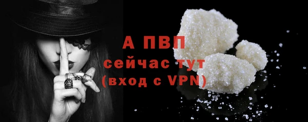 индика Бронницы