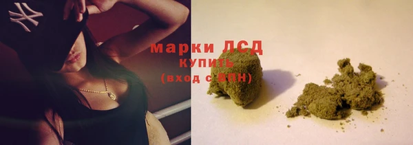 индика Бронницы
