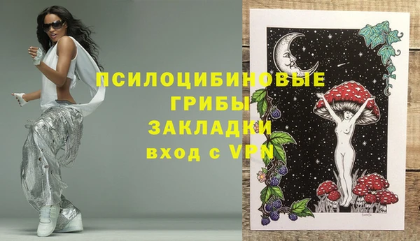 Альфа ПВП Бородино
