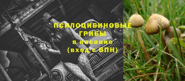 Альфа ПВП Бородино