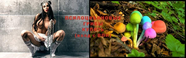 Альфа ПВП Бородино