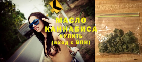 Альфа ПВП Бородино