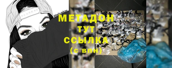 индика Бронницы