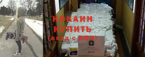 индика Бронницы