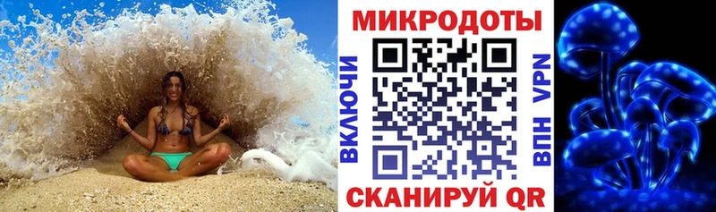 Галлюциногенные грибы Psilocybe  Вельск 